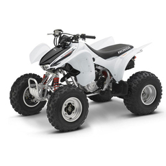TRX 300EX
